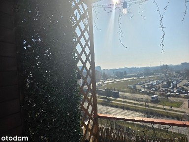 ul. Władysława Broniewskiego, Różanka, Psie Pole, Wrocław, dolnośląskie