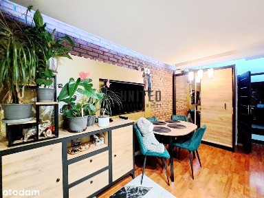 Okolice ul. Bezpiecznej Piwnica/Park/Rozkład