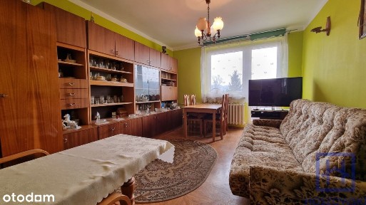 Mieszkanie 2 pokojowe Leśna (Morcinka)