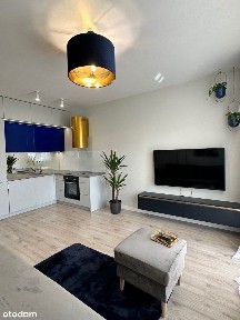 Wysoki STANDARD, 3- pok, Os. Eur. Wyposażone