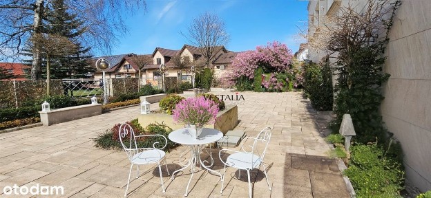 Gotowy Biznes w Centrum Miasta