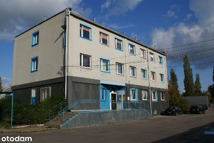 ul. Ptasia, Pogoń, Sosnowiec, śląskie