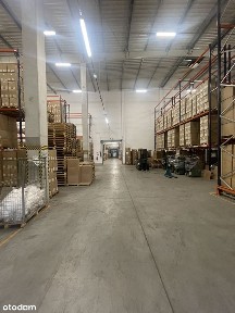 ul. Kościuszki, Janowiec Wielkopolski, żniński, kujawsko-pomorskie