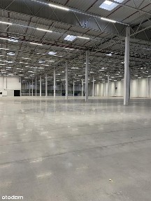 Bysewska, Kokoszki, Gdańsk, pomorskie