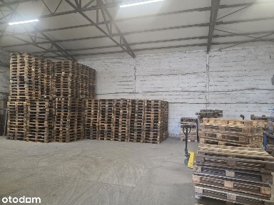 Magazyn 315 m2 do wynajęcia w Słupsku