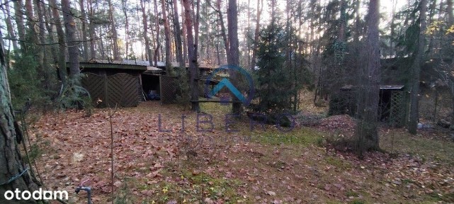 Dom w lesie dla 2 rodzin/ przyjaciół