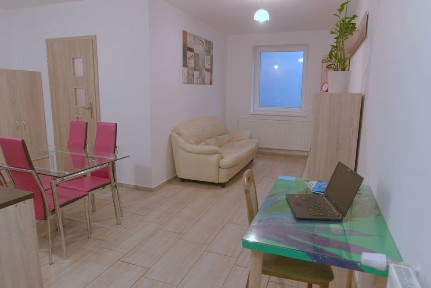 Mieszkanie 2 pokojowe do wynajęcia od 10 grudnia