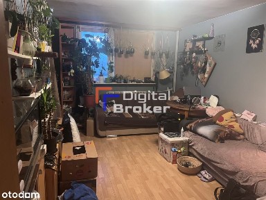 ul. Edwarda Wittiga, Tarchomin, Białołęka, Warszawa, mazowieckie