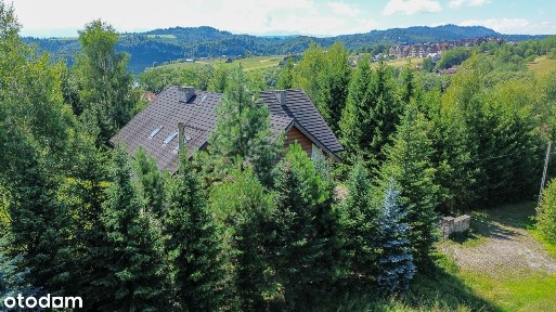 Zatopiony w zieleni, potencjał pod pensjonat