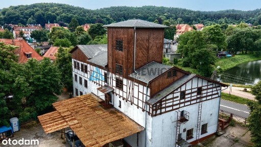 Stary Młyn W Stylowej Dzielnicy Gdańska!