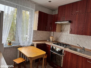 3 pokoje, osobna kuchnia, dla rodziny lub firmy - 54m2, TYCHY oś. H