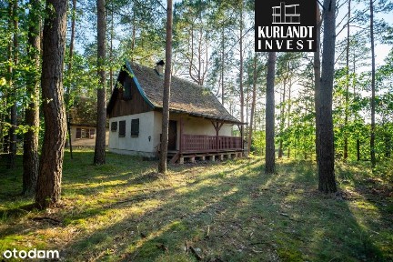 Dom w lesie 100 m od jeziora Bory Tucholskie