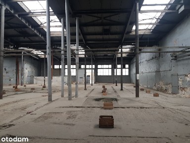 Świdnica, świdnicki, dolnośląskie