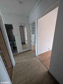 3-pokojowe mieszkanie 47,3 m² po remoncie | widok na zieleń