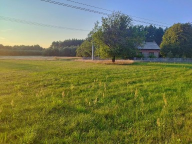 Sprzedam Dom (Siedliskoo) koło Kluk DUŻO TANIEJ!