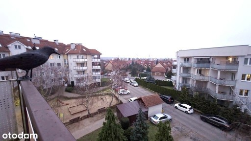 Górczyn - dwupoziomowe 4 pokoje, 103 m²