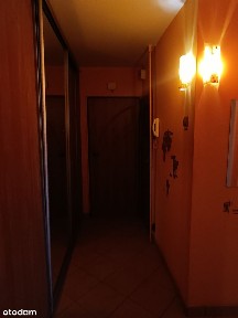 Słoneczne M3, 45 M2 z balkonem,2200 zł całość