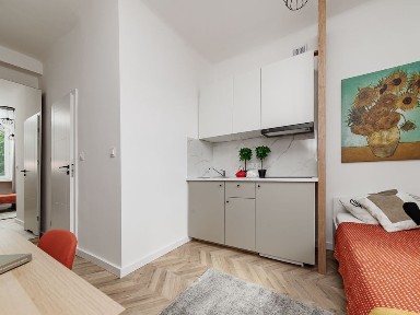 Kawalerka, Mieszkanie, Wola/po remoncie w 2025/ od 22.12