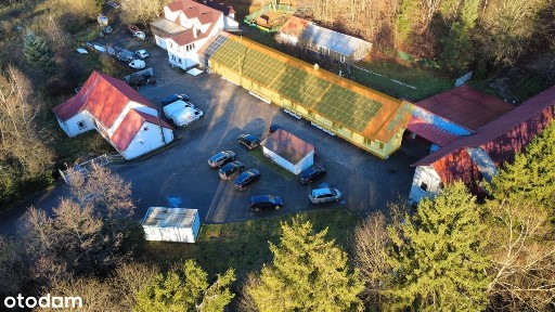 Zakład cukierniczy, piekarnia, gastronomia