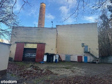 Do wynajęcia: obiekt biurowo-magazynowy Sopot, ul. Cieszyńskiego 15-17