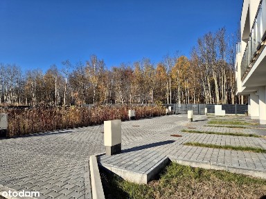 ul. Wodzirejów, Grabów, Ursynów, Warszawa, mazowieckie