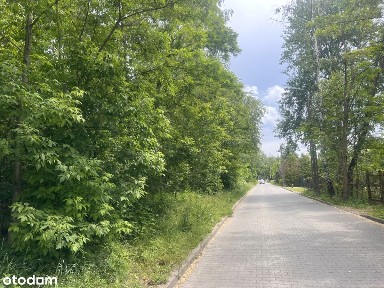 Rewelacyjna lokalizacja-Willa pod lasem Magdalenki