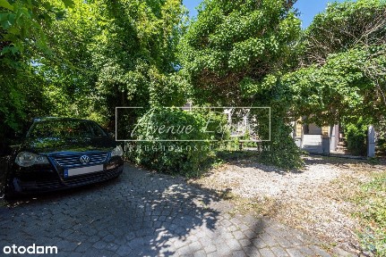 Segment Skrajny/ Taras/ Stara Sadyba