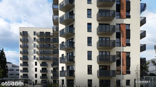 ☎️Centrum, Sukcesja, Politechnika!, 2 pokoje