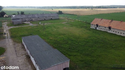 Orlinek/hale 4091m2 /działka 20584m2 /waga