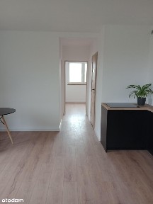 Do wynajęcia apartament 3 pokojowy w nowej inwestycji