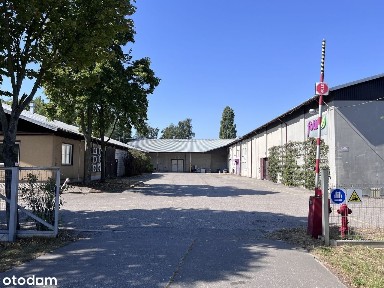 Magazyn powierzchnia 450 mkw. Do wynajęcia. Powierzchnia magazynowa.