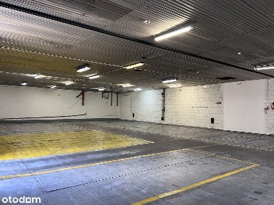 Magazyn pojedynczy od 350 mkw. Powierzchnia magazynowa. Magazyn.