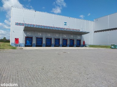 Magazyn na wynajem/ 10 000 m2/ Tomaszów Mazowiecki/ regały