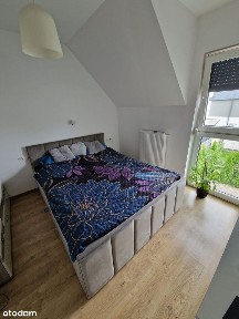 segment do wynajęcia