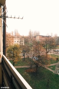 BEZPOŚREDNIO | 3 Pokoje 59m2 | Balkon | Zielony Wirek