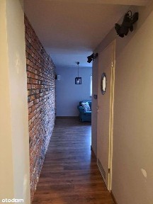 Nowoczesne mieszkanie trzypokojowe na wynajem przy Parku