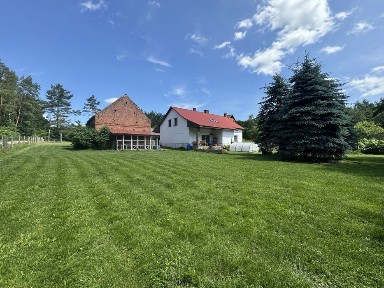 Okazja! Duzy dom w lesie! Spokojna okolica, bisko miasta-do negocjacji