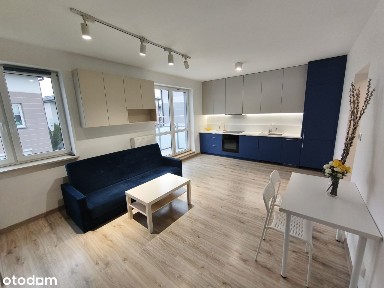 ul. Piasta Kołodzieja, Brzeziny, Białołęka, Warszawa, mazowieckie