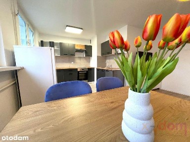 Mieszkanie po generalnym remoncie - ul. Wiśniowa