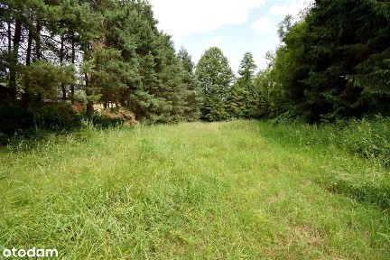 Budynek Rekreacyjny 80m2, Drogomyśl,Działka 4435m2