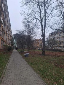 Kawalerka do remontu, okolice Placu Hallera