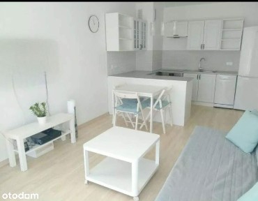 Mieszkanie do wynajęcia 1.02.26
