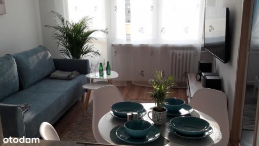 Do wynajęcia 2 pokojowe mieszkanie w centrum Gdyni