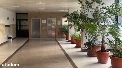 ul. Przechodnia, Śródmieście Północne, Śródmieście, Warszawa, mazowieckie