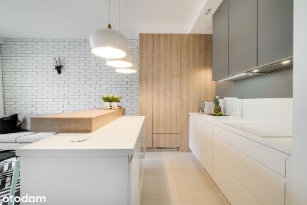 ul. Francuska, Osiedle Paderewskiego-Muchowiec, Katowice, śląskie