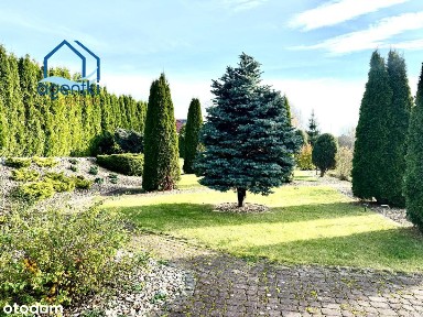 Dom z basenem oraz dużą działką,idealny dla rodzin