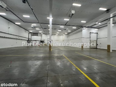 Hala 1018 M!Media W Cenie! Ogrzewana!