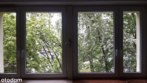 53 m2 na II piętrze, w dobrej lokalizacji, zielono