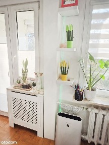 Przestronne 2-pokojowe mieszkanie z dużym balkonem na Ślichowicach