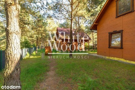 Ośrodek wypoczynkowy w lesie, nad jeziorem